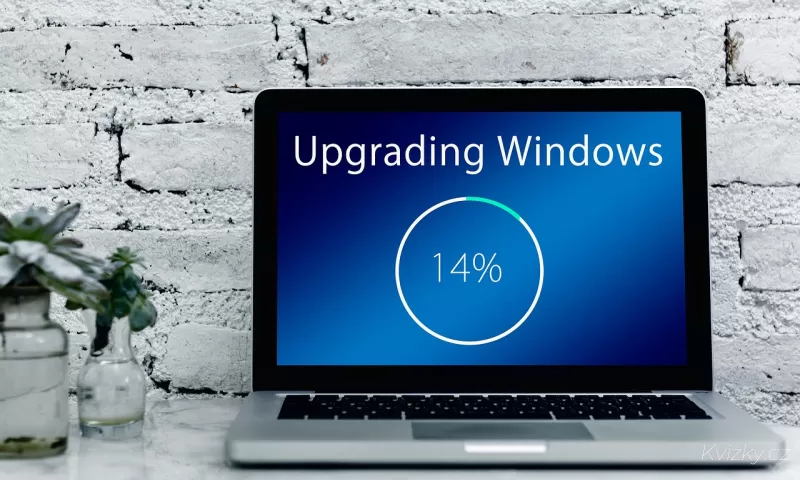 WINDOWS