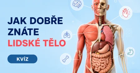 Kvíz o lidském těle: Zvládnete ho bez lékařského titulu?