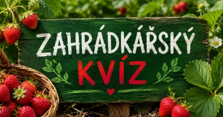 Kvíz: Otestujte své znalosti rostlin a zahradničení